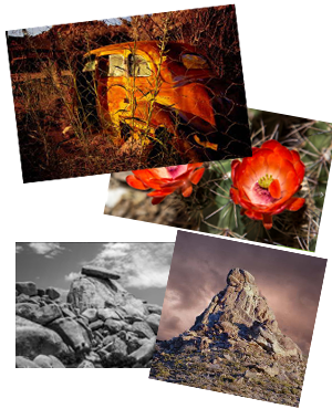 Local photography- for sale at Copy Center Plus